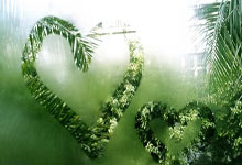 欧洲国家足球比赛迎来紧张一幕