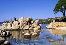 雄鹿队势不可挡连胜，崭露头角称霸东部夺冠